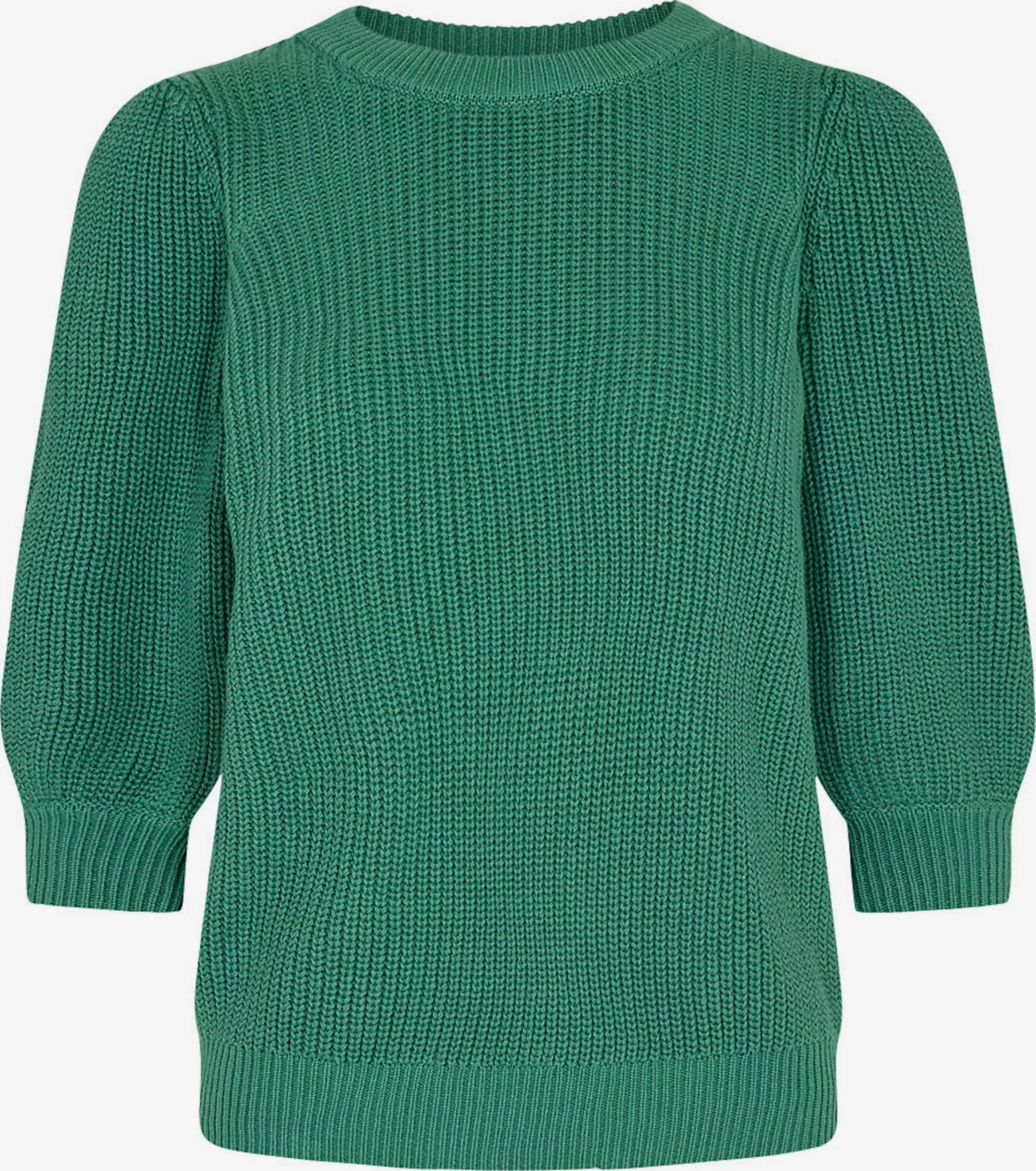 Fijngebreide truien Trui Daima Dames Grasgroen Minimum Fijngebreide Truien Trui Daima Dames Grasgroen -Minimum Winkel 275ee435499d57e519c19e447d36846a scaled